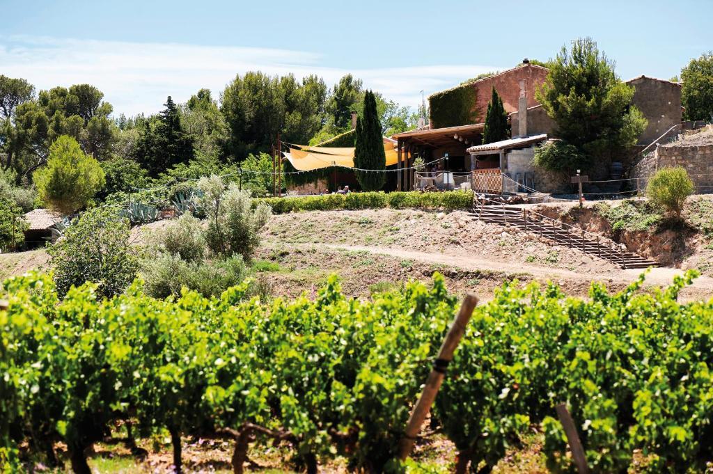 Chateau Le Bouis Gruissan Exterior foto